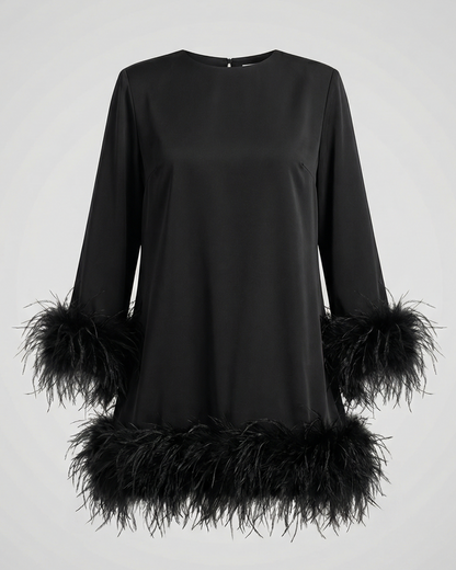 Asymmetrical Feather Mini Dress Women